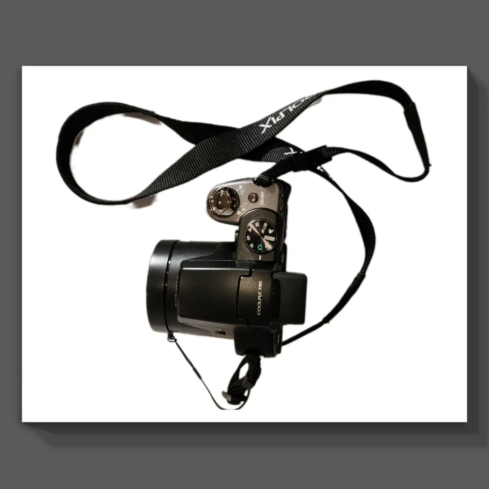 Nikon Coolpix P80 Camera